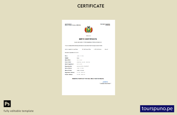 listo para imprimir acta de nacimiento de acta vital de Bolivia plantilla Word y